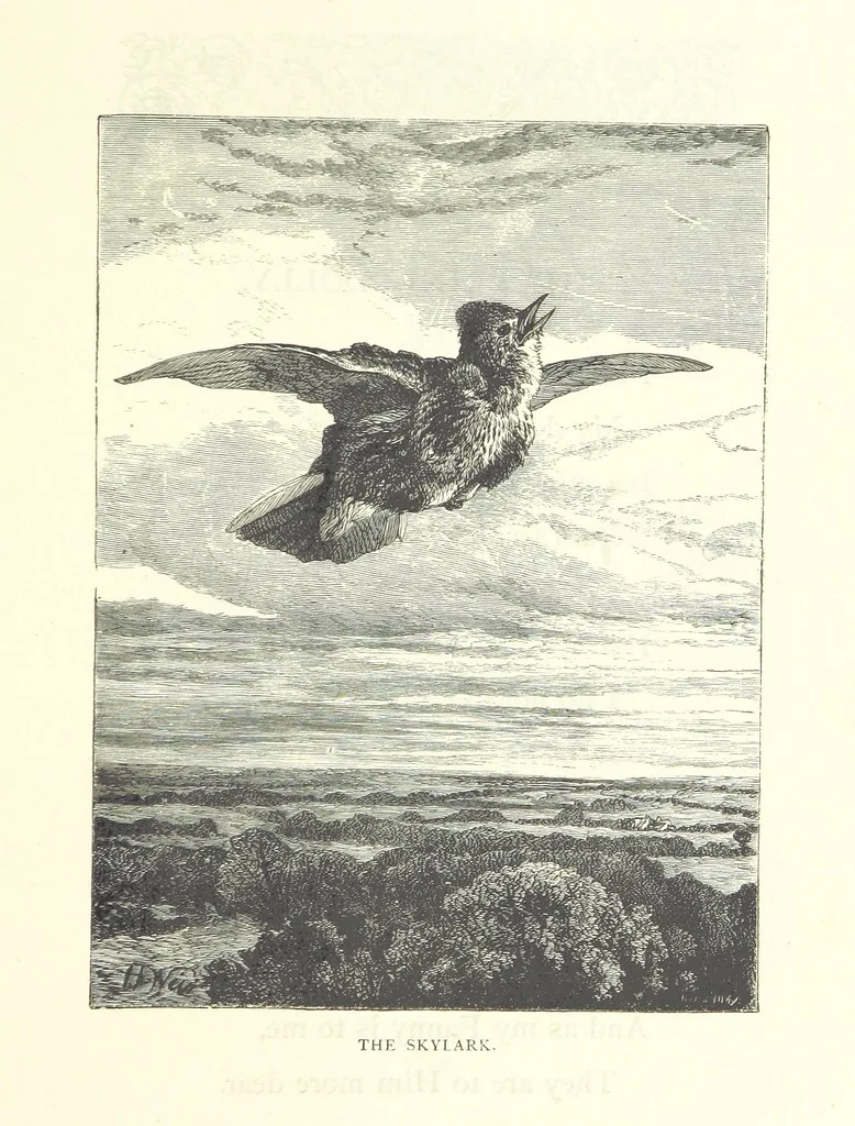 An illustration from Little Loving-Hearts Poem-Book ... With illustrations, 1882, leaf 27