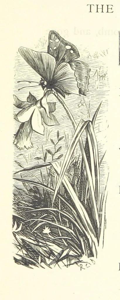 An illustration from Little Loving-Hearts Poem-Book ... With illustrations, 1882, leaf 31