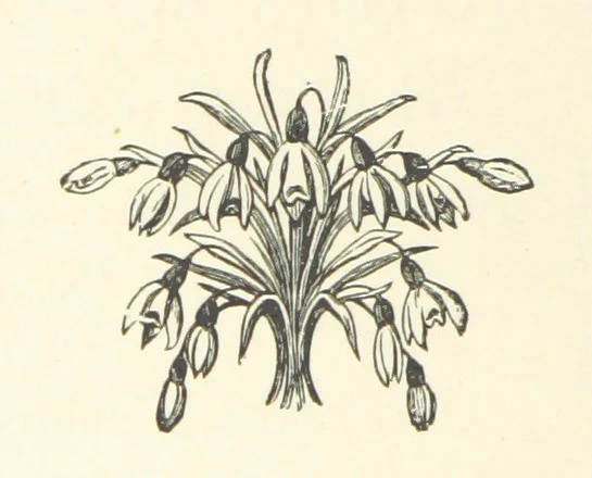 An illustration from Little Loving-Hearts Poem-Book ... With illustrations, 1882, leaf 32