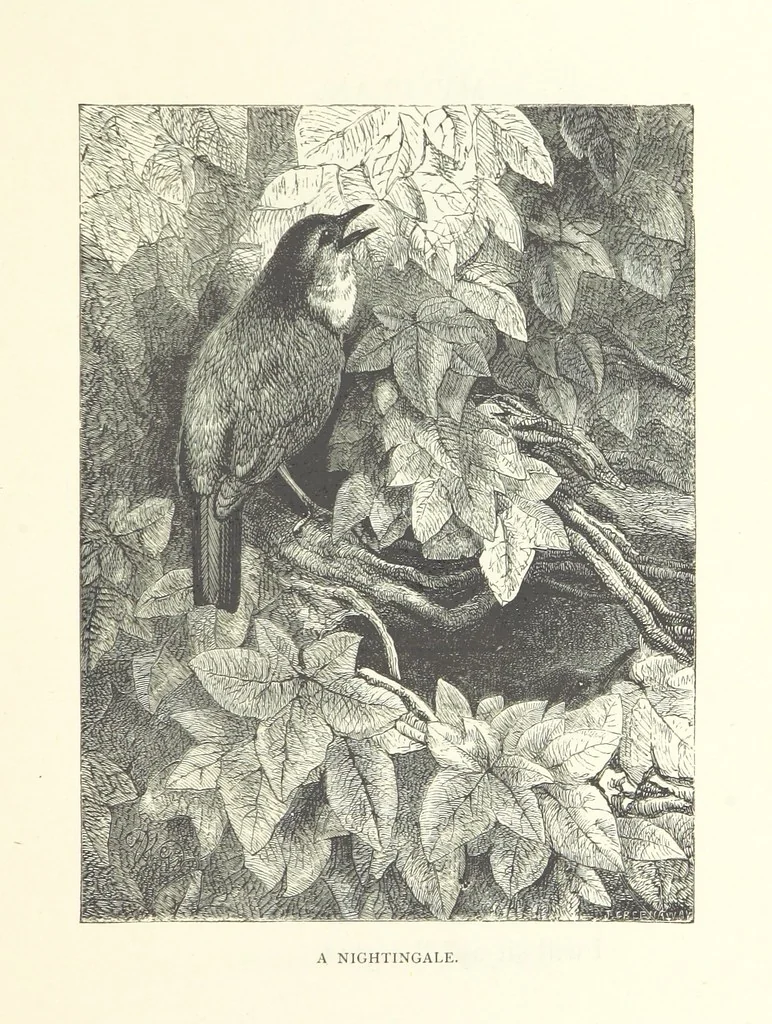 An illustration from Little Loving-Hearts Poem-Book ... With illustrations, 1882, leaf 39