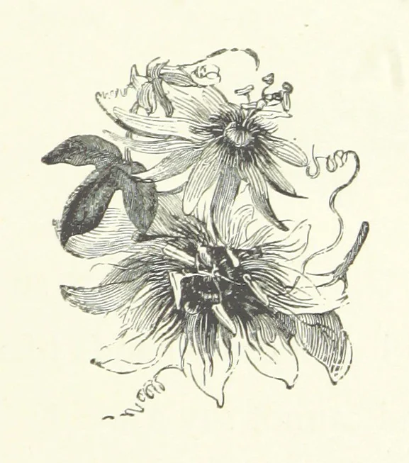 An illustration from Little Loving-Hearts Poem-Book ... With illustrations, 1882, leaf 47