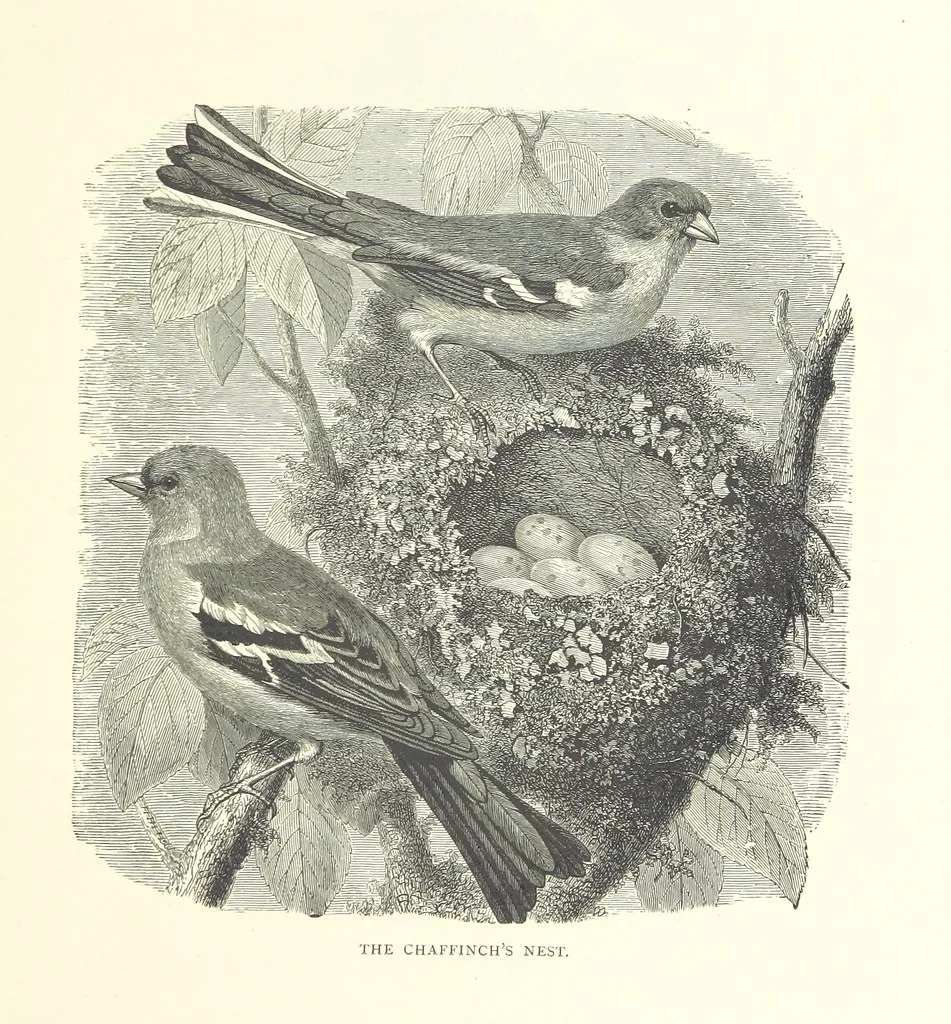 An illustration from Little Loving-Hearts Poem-Book ... With illustrations, 1882, leaf 49