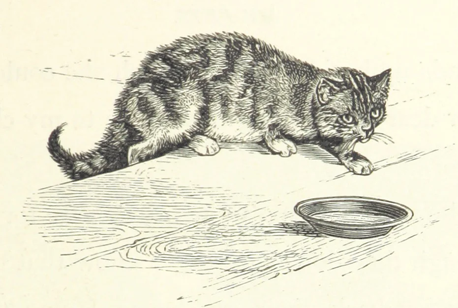 An illustration from Little Loving-Hearts Poem-Book ... With illustrations, 1882, leaf 51