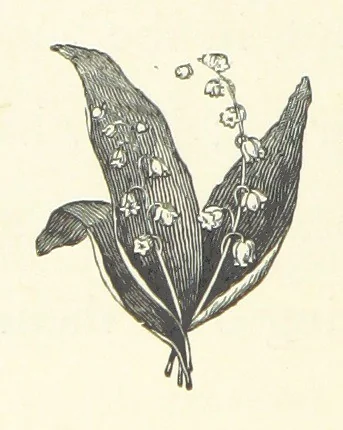 An illustration from Little Loving-Hearts Poem-Book ... With illustrations, 1882, leaf 72