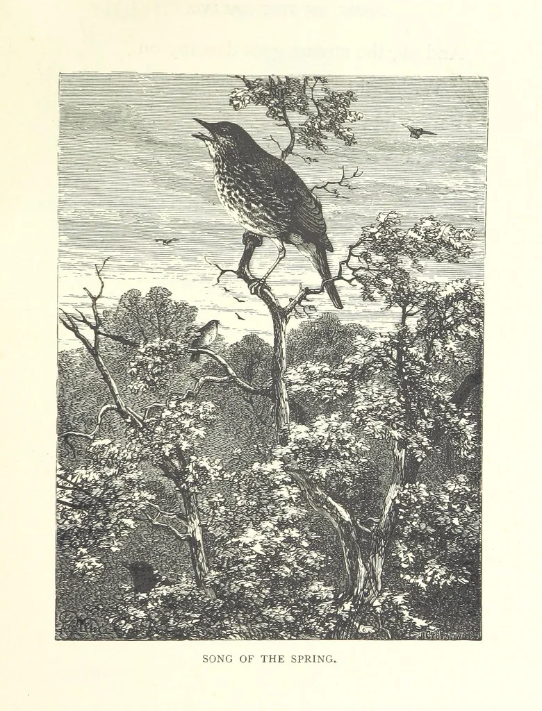 An illustration from Little Loving-Hearts Poem-Book ... With illustrations, 1882, leaf 75
