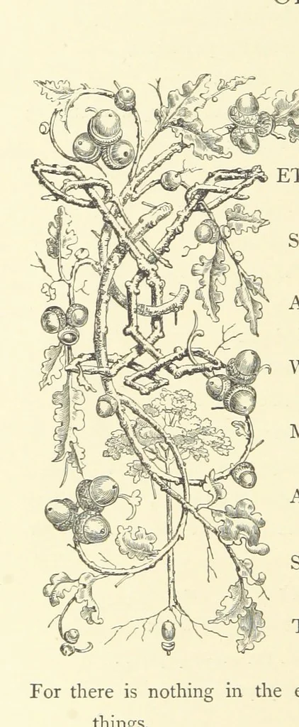 An illustration from Proverbial Philosophy. (The first and second series.) ... Illustrated. A new edition, 1867, leaf 110