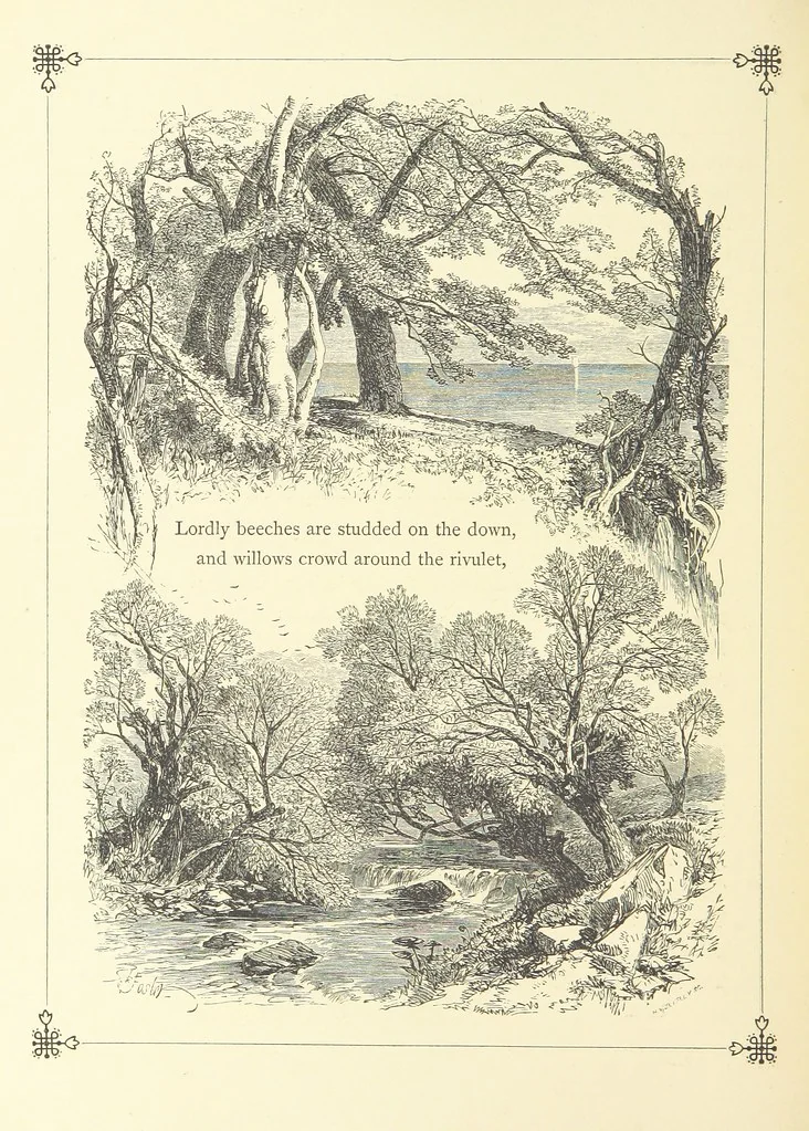An illustration from Proverbial Philosophy. (The first and second series.) ... Illustrated. A new edition, 1867, leaf 150