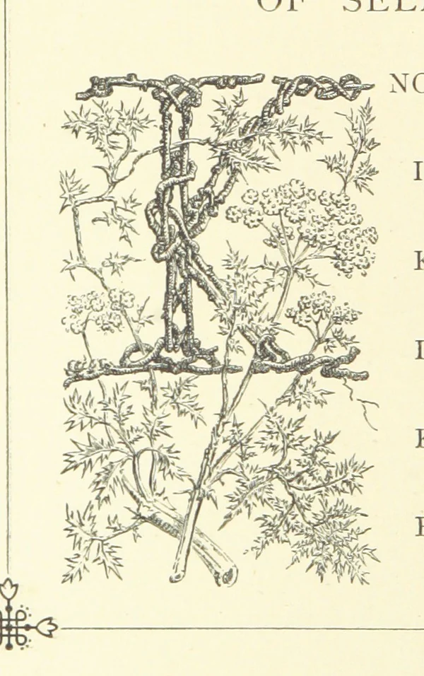An illustration from Proverbial Philosophy. (The first and second series.) ... Illustrated. A new edition, 1867, leaf 160