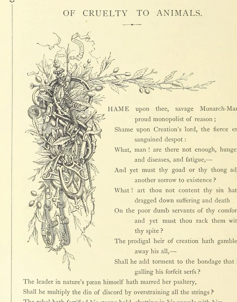 An illustration from Proverbial Philosophy. (The first and second series.) ... Illustrated. A new edition, 1867, leaf 168