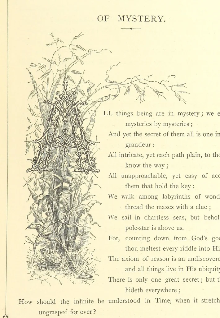 An illustration from Proverbial Philosophy. (The first and second series.) ... Illustrated. A new edition, 1867, leaf 237