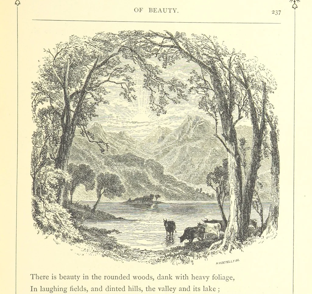 An illustration from Proverbial Philosophy. (The first and second series.) ... Illustrated. A new edition, 1867, leaf 255
