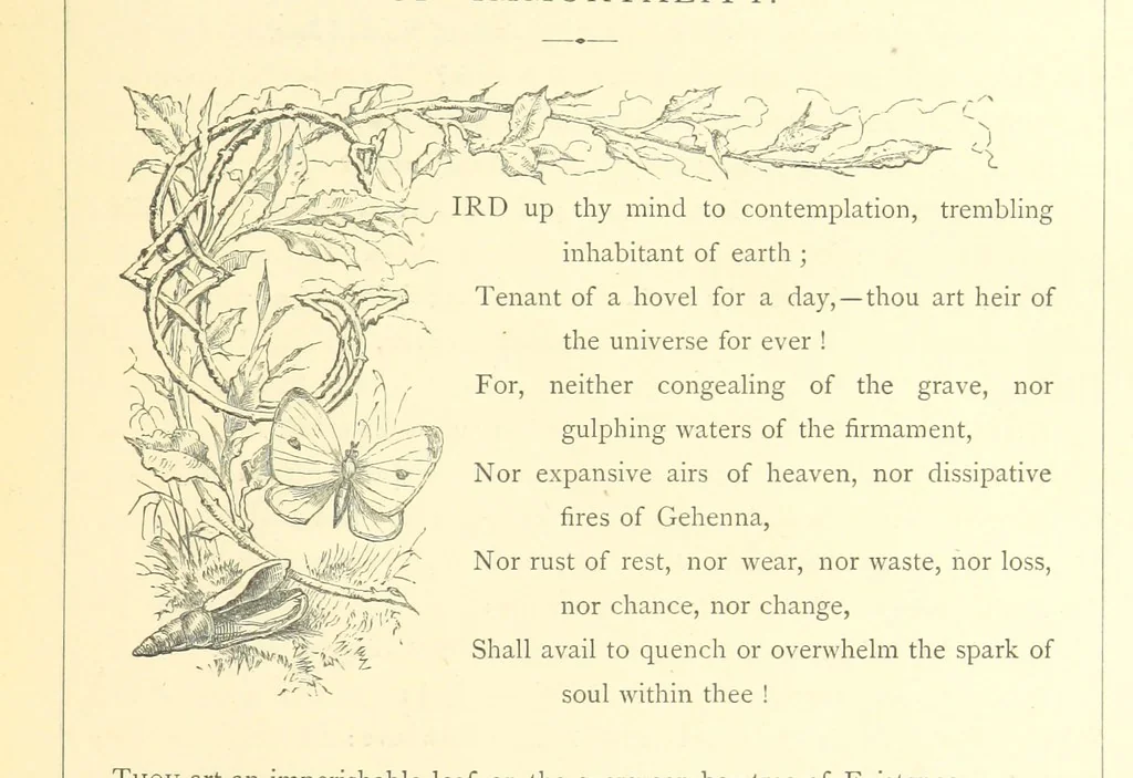 An illustration from Proverbial Philosophy. (The first and second series.) ... Illustrated. A new edition, 1867, leaf 315