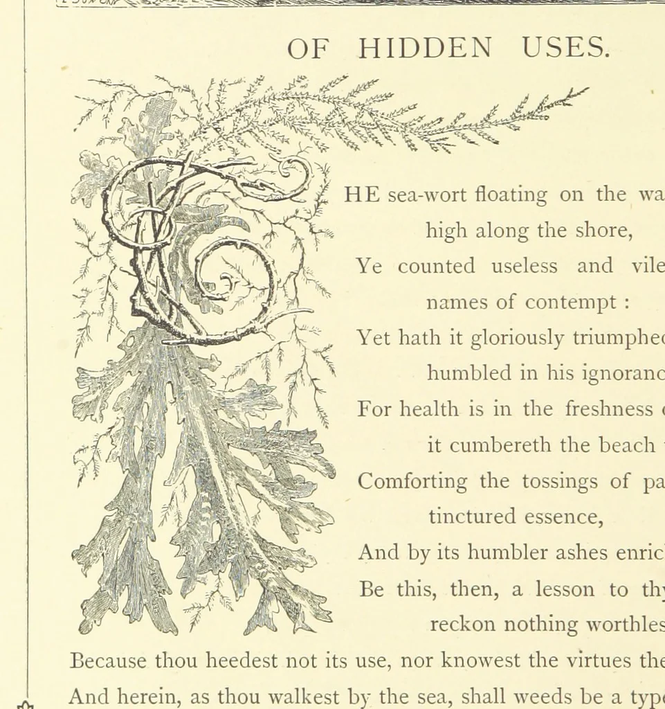 An illustration from Proverbial Philosophy. (The first and second series.) ... Illustrated. A new edition, 1867, leaf 32