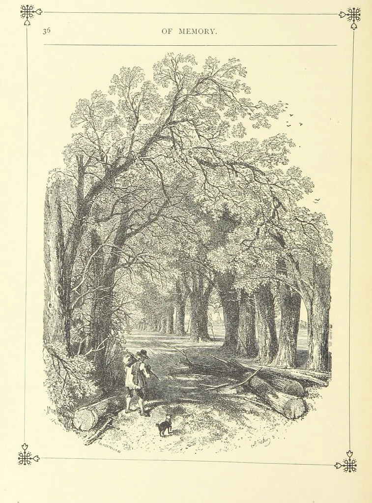 An illustration from Proverbial Philosophy. (The first and second series.) ... Illustrated. A new edition, 1867, leaf 54