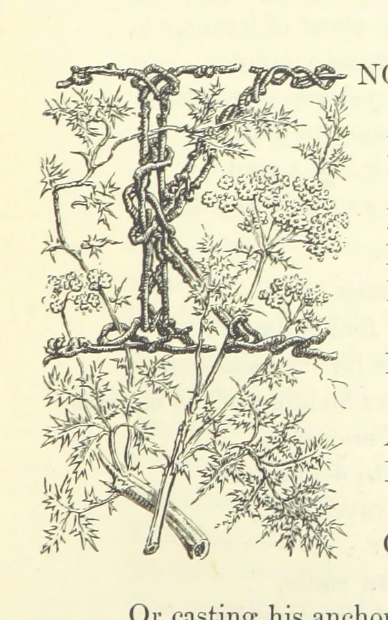 An illustration from Proverbial Philosophy in four series; now first complete, etc, 1881, leaf 115