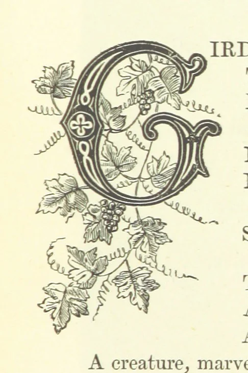 An illustration from Proverbial Philosophy in four series; now first complete, etc, 1881, leaf 211