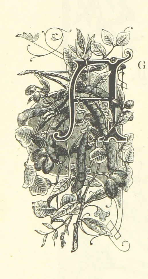 An illustration from Proverbial Philosophy in four series; now first complete, etc, 1881, leaf 258