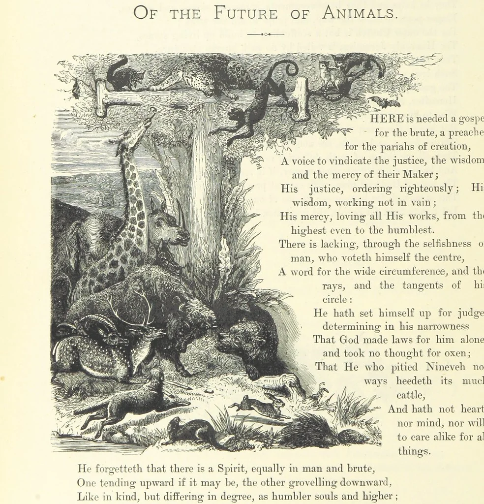 An illustration from Proverbial Philosophy in four series; now first complete, etc, 1881, leaf 318