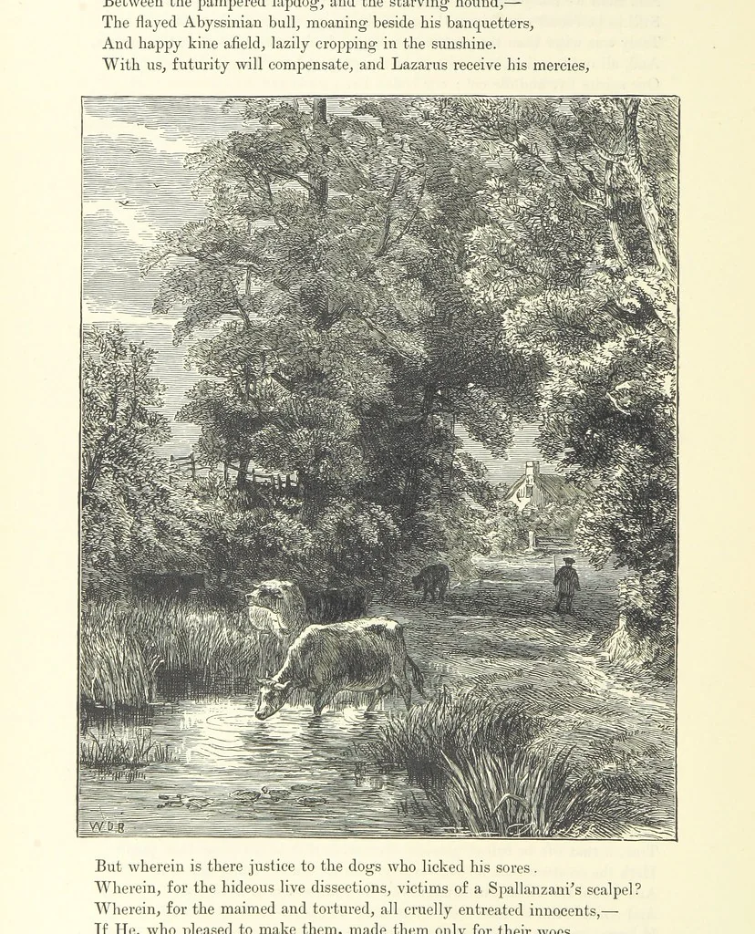 An illustration from Proverbial Philosophy in four series; now first complete, etc, 1881, leaf 324