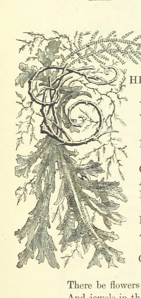 An illustration from Proverbial Philosophy in four series; now first complete, etc, 1881, leaf 33