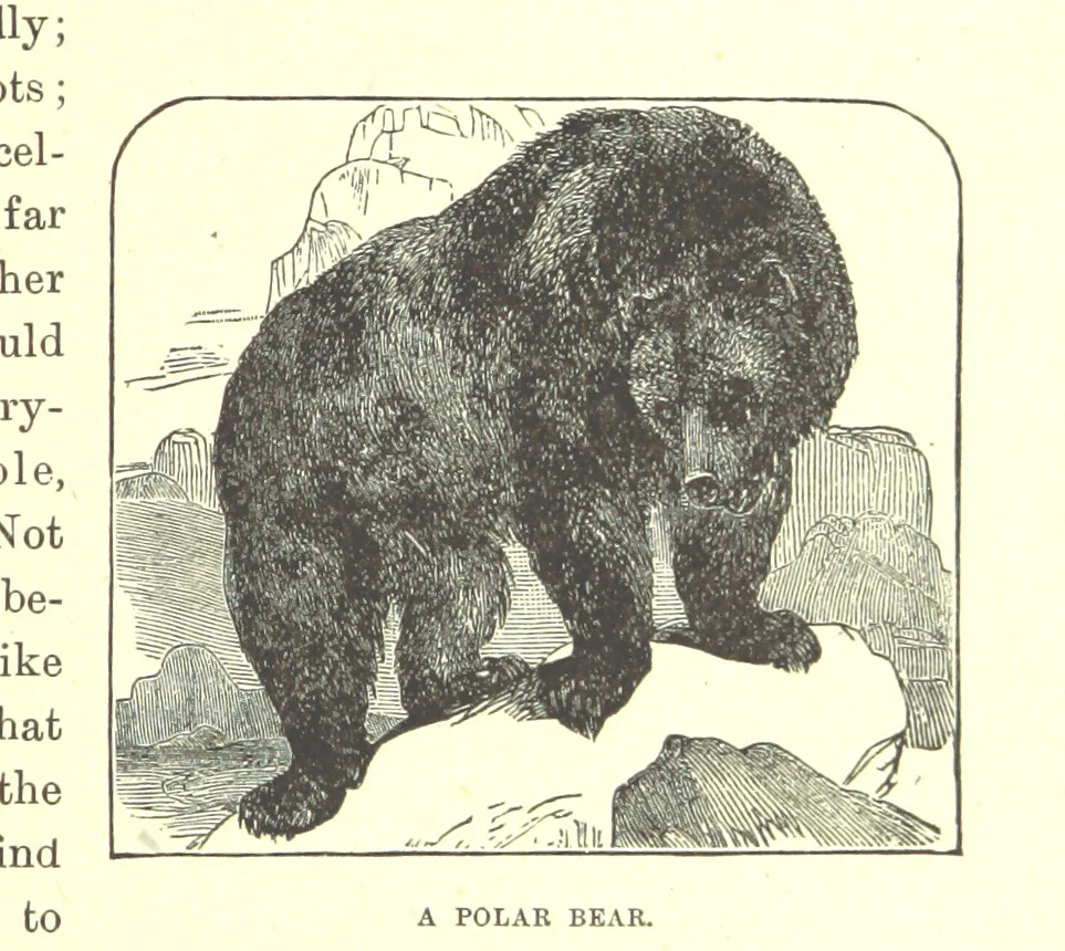 An illustration from Our North Land: being a full account of the Canadian North-West and Hudson's Bay Route, together with a narrative of the experiences of the Hudson's Bay Expedition of 1884 ... Illustrated, etc, 1885, leaf 171