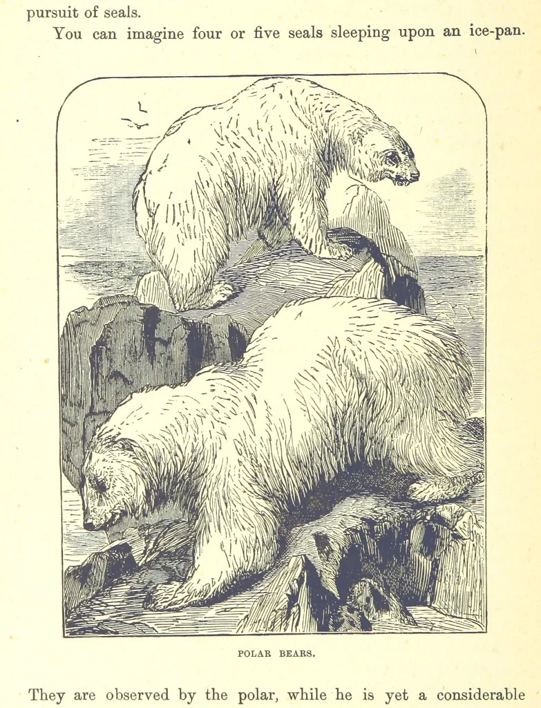 An illustration from Our North Land: being a full account of the Canadian North-West and Hudson's Bay Route, together with a narrative of the experiences of the Hudson's Bay Expedition of 1884 ... Illustrated, etc, 1885, leaf 200