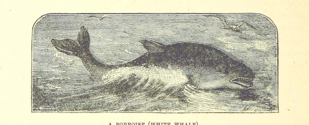 An illustration from Our North Land: being a full account of the Canadian North-West and Hudson's Bay Route, together with a narrative of the experiences of the Hudson's Bay Expedition of 1884 ... Illustrated, etc, 1885, leaf 210