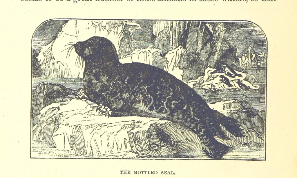 An illustration from Our North Land: being a full account of the Canadian North-West and Hudson's Bay Route, together with a narrative of the experiences of the Hudson's Bay Expedition of 1884 ... Illustrated, etc, 1885, leaf 216