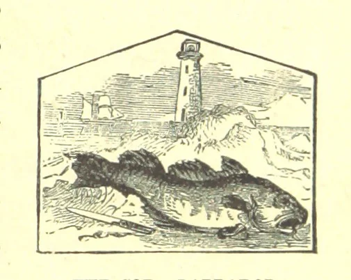 An illustration from Our North Land: being a full account of the Canadian North-West and Hudson's Bay Route, together with a narrative of the experiences of the Hudson's Bay Expedition of 1884 ... Illustrated, etc, 1885, leaf 47