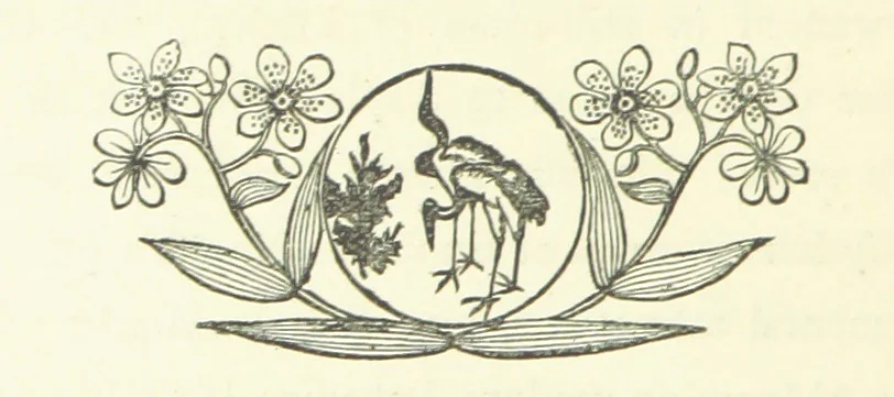 An illustration from The Diamond Rose: a life of love and duty, 1890, leaf 138