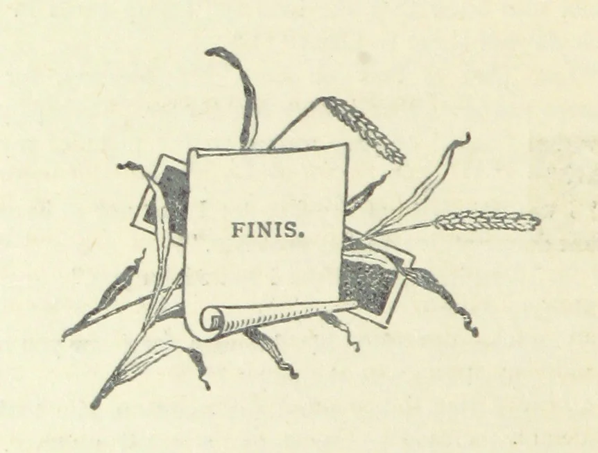An illustration from The Rogues of Society, and The Doctor of Duddlestone, 1899, leaf 138