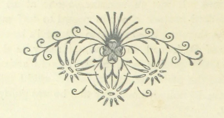 An illustration from The Rogues of Society, and The Doctor of Duddlestone, 1899, leaf 24