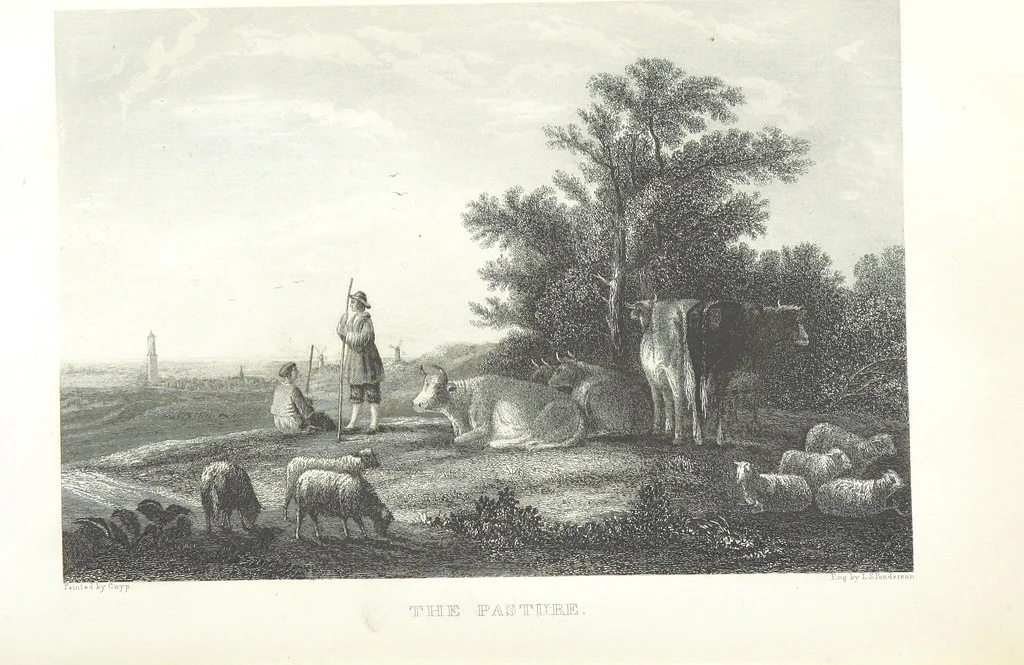 An illustration from Eighty Years' Progress of the United States: a family record of American industry, energy and enterprise ... By eminent literary men [C. L. Flint and others] ... Embellished with ... engravings, etc, 1868, leaf 102