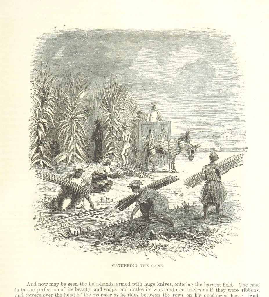 An illustration from Eighty Years' Progress of the United States: a family record of American industry, energy and enterprise ... By eminent literary men [C. L. Flint and others] ... Embellished with ... engravings, etc, 1868, leaf 147