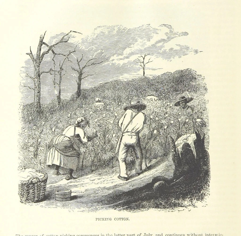 An illustration from Eighty Years' Progress of the United States: a family record of American industry, energy and enterprise ... By eminent literary men [C. L. Flint and others] ... Embellished with ... engravings, etc, 1868, leaf 148