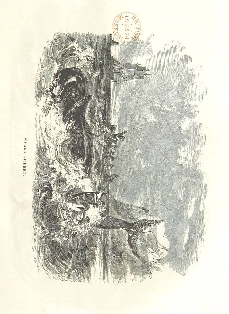 An illustration from Eighty Years' Progress of the United States: a family record of American industry, energy and enterprise ... By eminent literary men [C. L. Flint and others] ... Embellished with ... engravings, etc, 1868, leaf 415