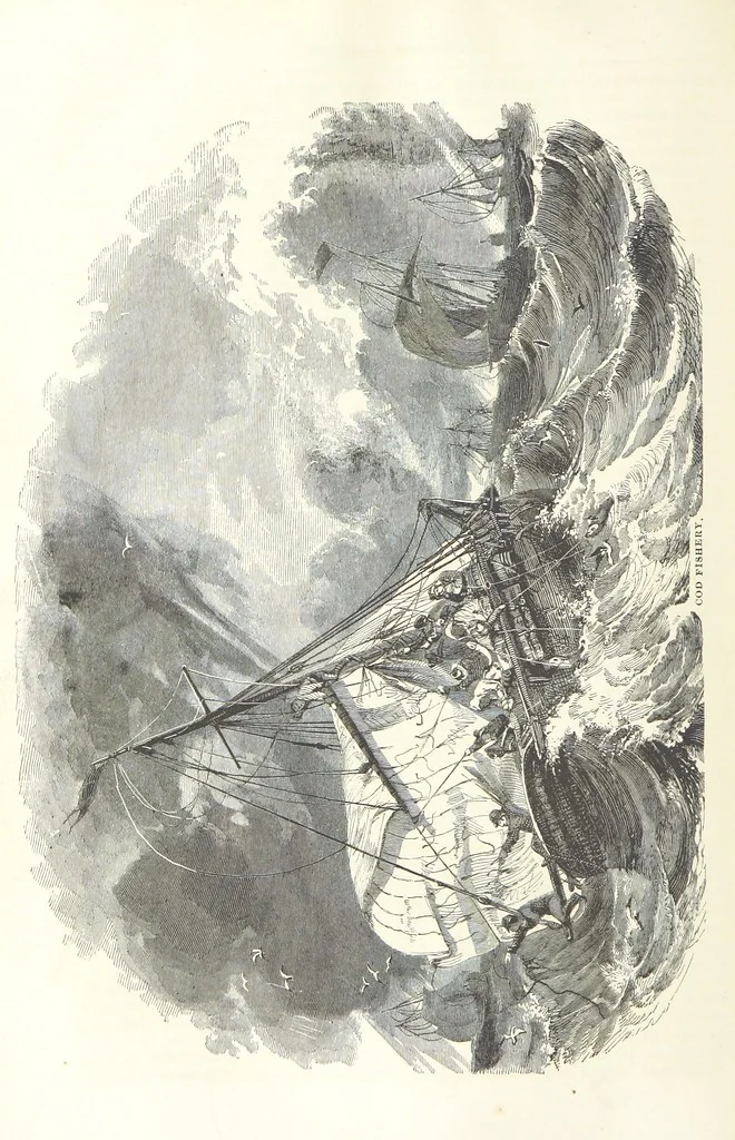An illustration from Eighty Years' Progress of the United States: a family record of American industry, energy and enterprise ... By eminent literary men [C. L. Flint and others] ... Embellished with ... engravings, etc, 1868, leaf 416