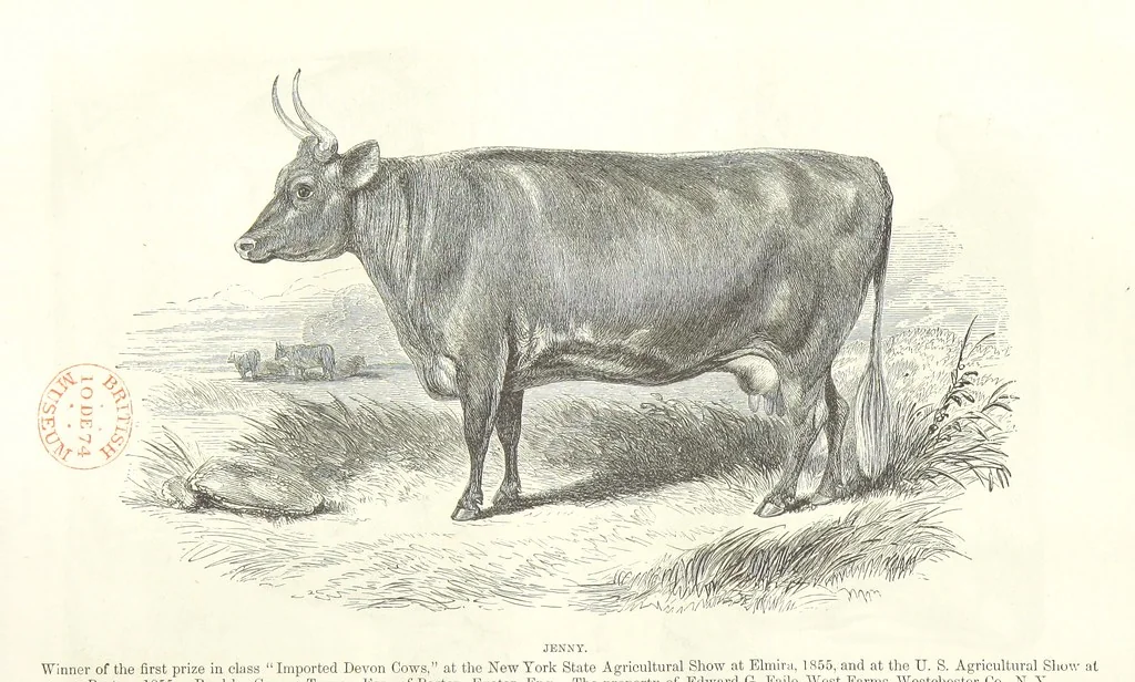 An illustration from Eighty Years' Progress of the United States: a family record of American industry, energy and enterprise ... By eminent literary men [C. L. Flint and others] ... Embellished with ... engravings, etc, 1868, leaf 62