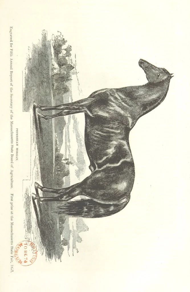 An illustration from Eighty Years' Progress of the United States: a family record of American industry, energy and enterprise ... By eminent literary men [C. L. Flint and others] ... Embellished with ... engravings, etc, 1868, leaf 73