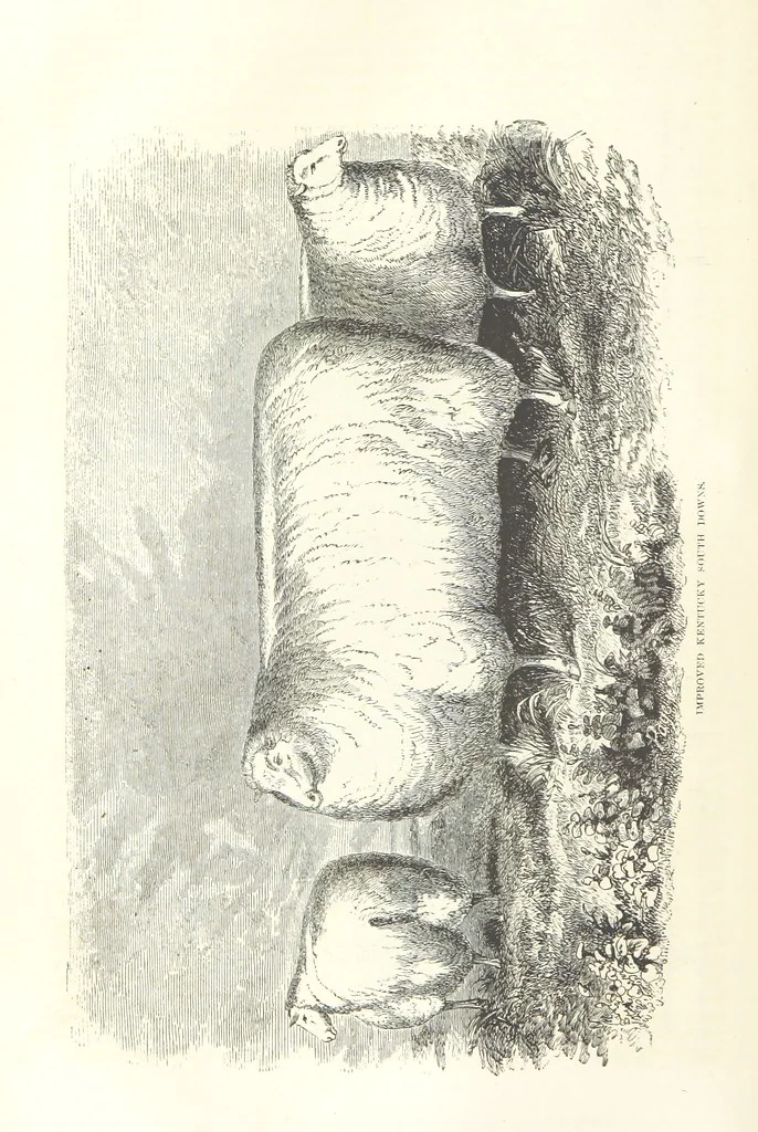 An illustration from Eighty Years' Progress of the United States: a family record of American industry, energy and enterprise ... By eminent literary men [C. L. Flint and others] ... Embellished with ... engravings, etc, 1868, leaf 76