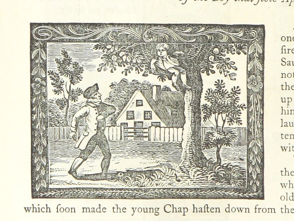 An illustration from Eighty Years' Progress of the United States: a family record of American industry, energy and enterprise ... By eminent literary men [C. L. Flint and others] ... Embellished with ... engravings, etc, 1868, leaf 436