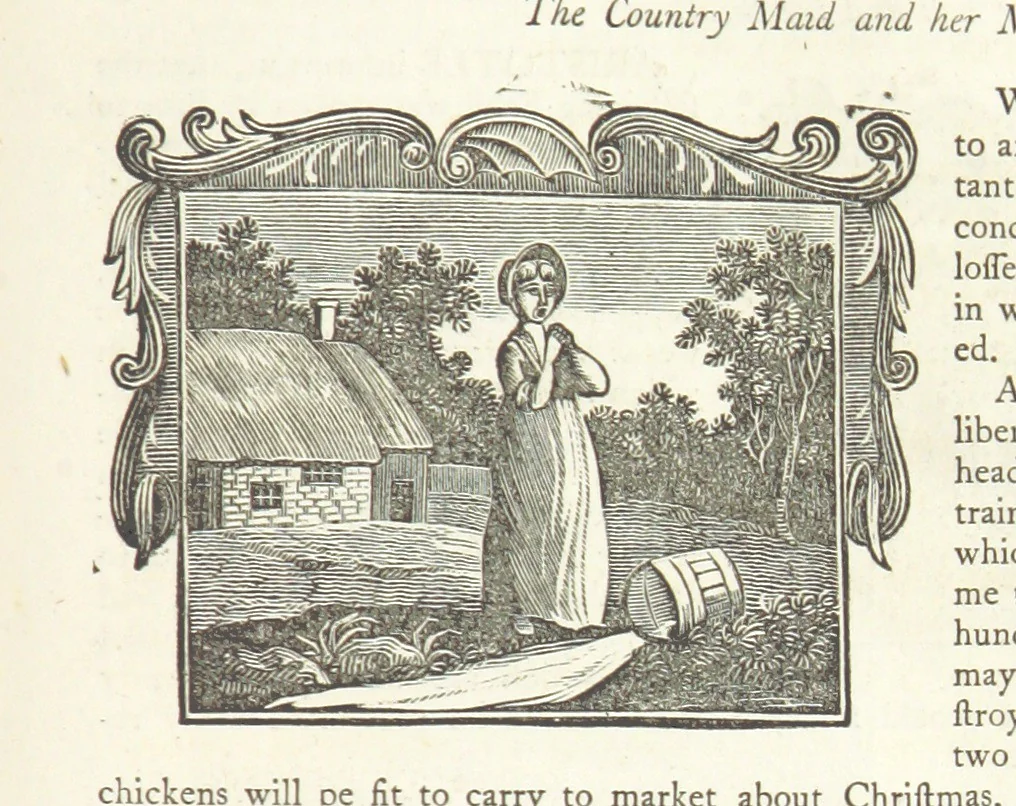 An illustration from Eighty Years' Progress of the United States: a family record of American industry, energy and enterprise ... By eminent literary men [C. L. Flint and others] ... Embellished with ... engravings, etc, 1868, leaf 437