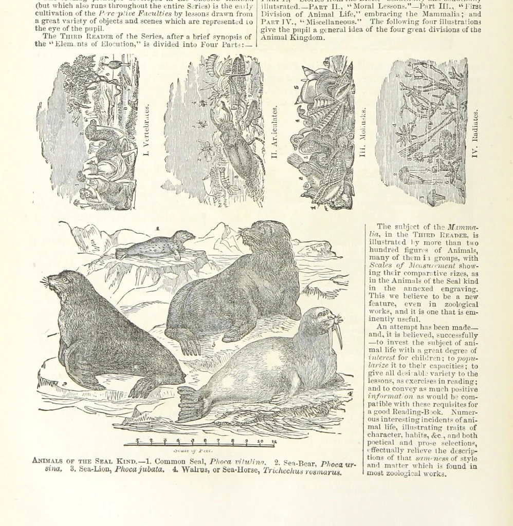An illustration from Eighty Years' Progress of the United States: a family record of American industry, energy and enterprise ... By eminent literary men [C. L. Flint and others] ... Embellished with ... engravings, etc, 1868, leaf 440