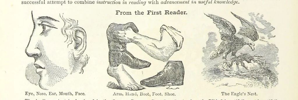 An illustration from Eighty Years' Progress of the United States: a family record of American industry, energy and enterprise ... By eminent literary men [C. L. Flint and others] ... Embellished with ... engravings, etc, 1868, leaf 440