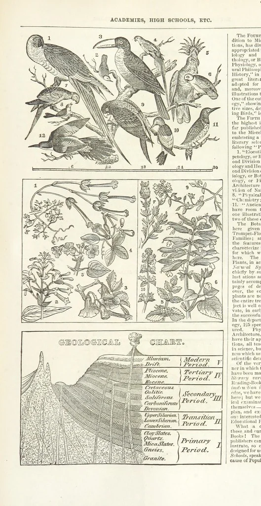 An illustration from Eighty Years' Progress of the United States: a family record of American industry, energy and enterprise ... By eminent literary men [C. L. Flint and others] ... Embellished with ... engravings, etc, 1868, leaf 441