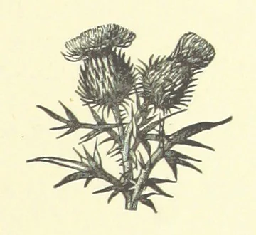 An illustration from Bond Slaves. The story of a struggle, 1893, leaf 133
