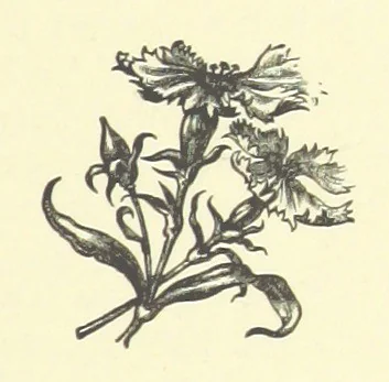 An illustration from Bond Slaves. The story of a struggle, 1893, leaf 177