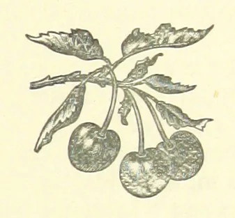 An illustration from Bond Slaves. The story of a struggle, 1893, leaf 211