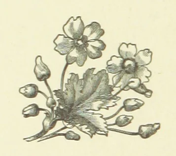 An illustration from Bond Slaves. The story of a struggle, 1893, leaf 72