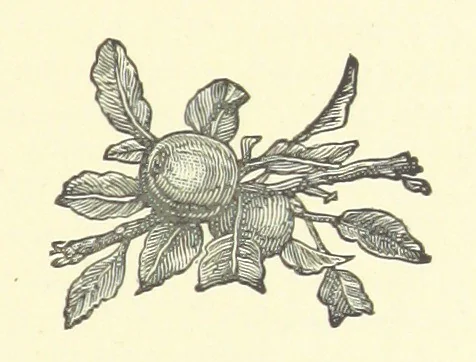 An illustration from Bond Slaves. The story of a struggle, 1893, leaf 95